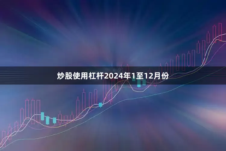 炒股使用杠杆　　2024年1至12月份