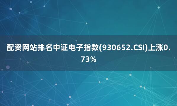 配资网站排名中证电子指数(930652.CSI)上涨0.73%