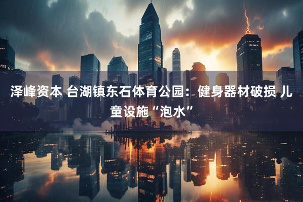 泽峰资本 台湖镇东石体育公园：健身器材破损 儿童设施“泡水”